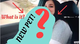 Post 5 by TawneeAndFamilyVlogs on YouTube (video)
