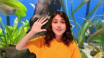 Post 4 by Alice and Aaron - kids English learning videos on YouTube (video)