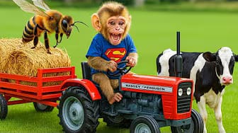 Post 10 by BonBon Monkey Children on YouTube (video)