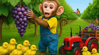 Post 9 by BonBon Monkey Children on YouTube (video)