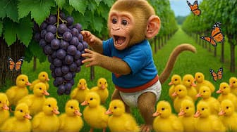 Post 4 by BonBon Monkey Children on YouTube (video)