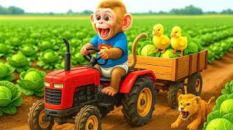 Post 1 by BonBon Monkey Children on YouTube (video)