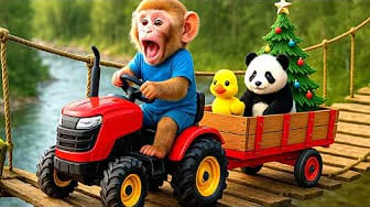 Post 2 by BonBon Monkey Children on YouTube (video)