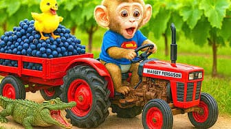 Post 6 by BonBon Monkey Children on YouTube (video)