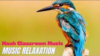 Post 1 by Nauh Classroom Music on YouTube (video)