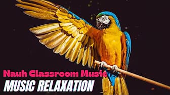 Post 2 by Nauh Classroom Music on YouTube (video)