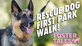 Post 2 by Foster Tales on YouTube (video)