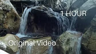 Post 9 by Relaxed for Life on YouTube (video)