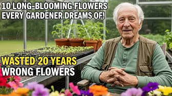 Post 4 by Evergreen Gardening Advice on YouTube (video)