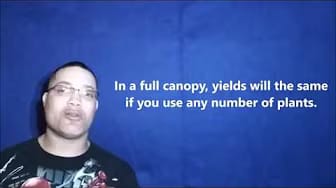 Post 8 by No Fail Hydroponics on YouTube (video)