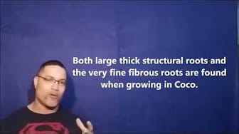 Post 1 by No Fail Hydroponics on YouTube (video)