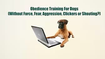Post 9 by Dog-trainingtipsNetYourPuppyDogPottyTrainingSource on YouTube (video)