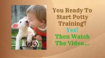 Post 7 by Dog-trainingtipsNetYourPuppyDogPottyTrainingSource on YouTube (video)
