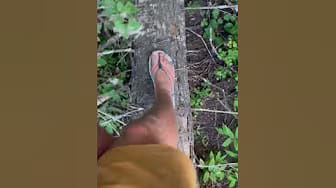 Post 1 by Off Grid Gays on YouTube (video)