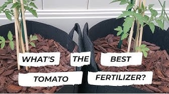 Post 4 by Hawaii Urban Gardener on YouTube (video)