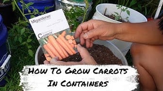 Post 3 by Hawaii Urban Gardener on YouTube (video)