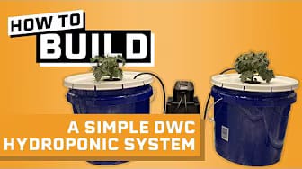 Post 6 by Hydro How-To on YouTube (video)