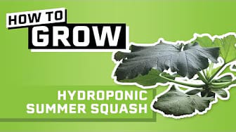 Post 5 by Hydro How-To on YouTube (video)
