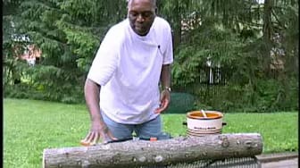 Post 10 by VeggieGardeningTips on YouTube (video)
