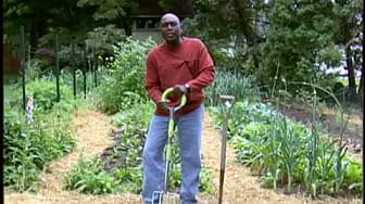 Post 3 by VeggieGardeningTips on YouTube (video)