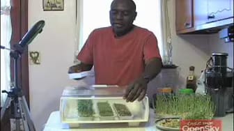 Post 8 by VeggieGardeningTips on YouTube (video)