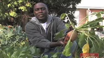 Post 7 by VeggieGardeningTips on YouTube (video)