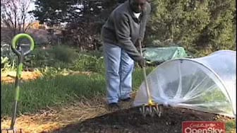 Post 1 by VeggieGardeningTips on YouTube (video)