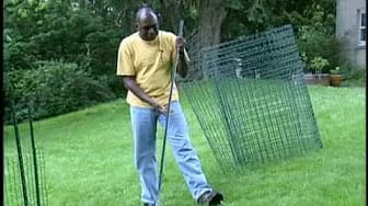 Post 4 by VeggieGardeningTips on YouTube (video)