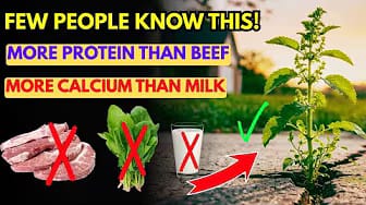 Post 4 by GreenVegGarden on YouTube (video)