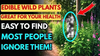 Post 1 by GreenVegGarden on YouTube (video)