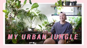 Post 10 by DouTube on YouTube (video)