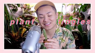 Post 6 by DouTube on YouTube (video)