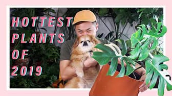 Post 4 by DouTube on YouTube (video)