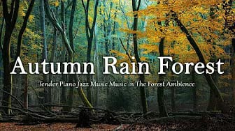 Post 7 by Cozy Jazz Music on YouTube (video)
