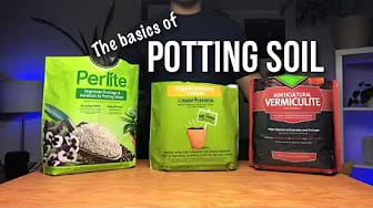 Post 3 by This is a Plant on YouTube (video)