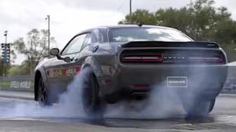 Post 8 by The House Of Muscle on YouTube (video)