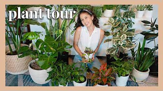 Post 6 by Jasmine Briones on YouTube (video)
