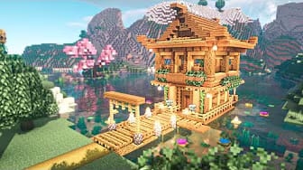 Post 8 by Hakdow on YouTube (video)