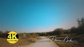 Post 10 by @Lofiambient on YouTube (video)