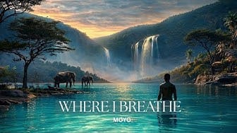 Post 4 by MOYO on YouTube (video)