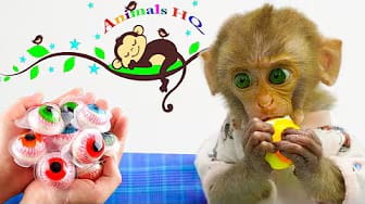 Post 5 by Experiment HQ - Life on YouTube (video)