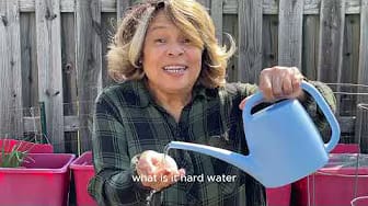 Post 6 by Best Gardening Goals on YouTube (video)