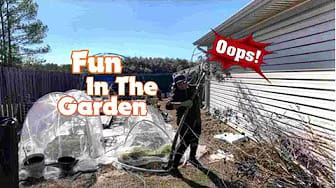 Post 2 by Best Gardening Goals on YouTube (video)