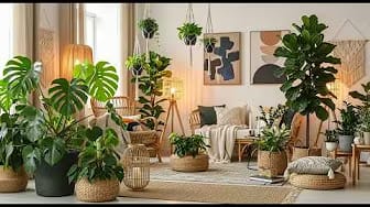 Post 3 by Plant Grow Up on YouTube (video)