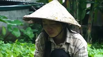 Post 8 by Lý Tử Hà on YouTube (video)