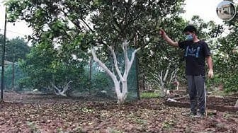 Post 1 by Câu cá & Làm vườn on YouTube (video)