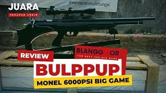 Post 3 by rimba nugroho chanell on YouTube (video)