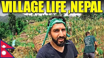 Post 6 by Walids POV on YouTube (video)