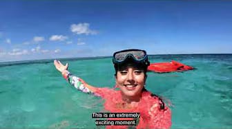 Post 8 by Follow Alana on YouTube (video)