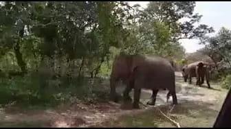 Post 5 by Traveler Max Lanka on YouTube (video)